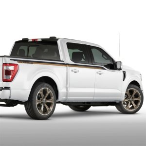 Ford F-150 Wheel Kit - Ford Racing - 22in, Set Of 4, Offset 44mm, w/Center Caps - Sinister Bronze - `15-`23